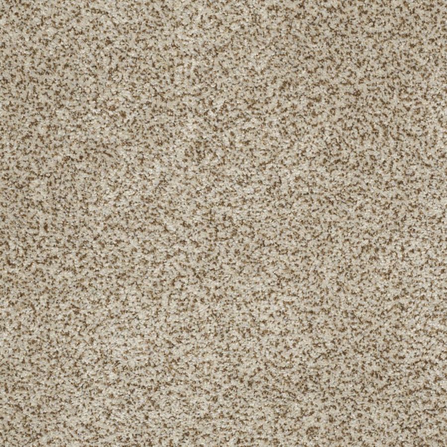 STAINMASTER Trusoft Private Oasis III Solarius Textured Indoor Carpet