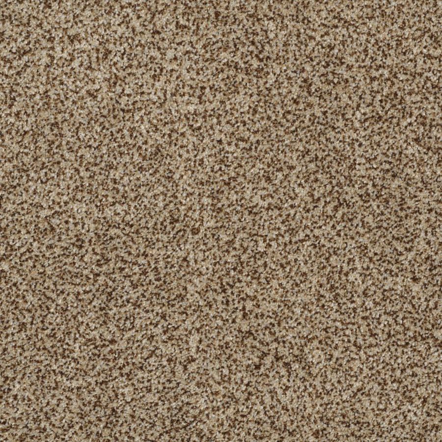 STAINMASTER Trusoft Private Oasis III Niagara Textured Indoor Carpet