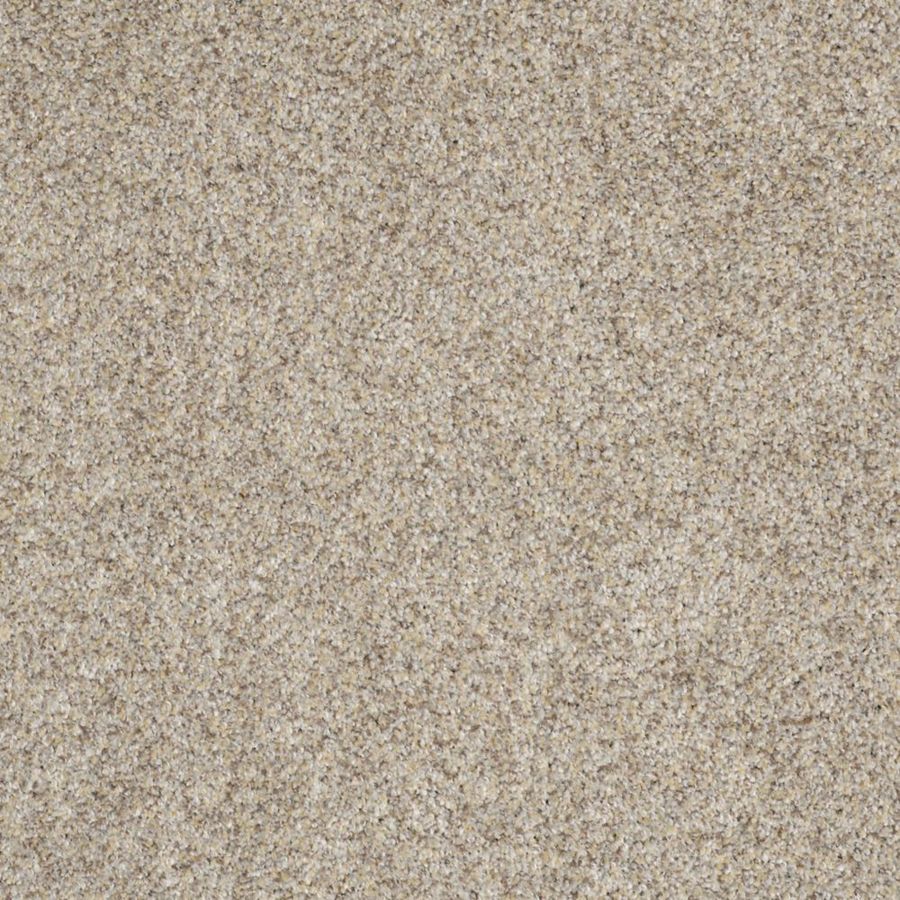 STAINMASTER TruSoft Private Oasis III Antico Textured Indoor Carpet