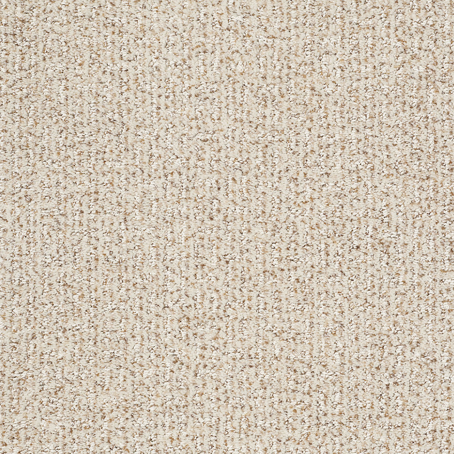 STAINMASTER Trusoft Evolution Smooth Satin Fashion Forward Indoor Carpet