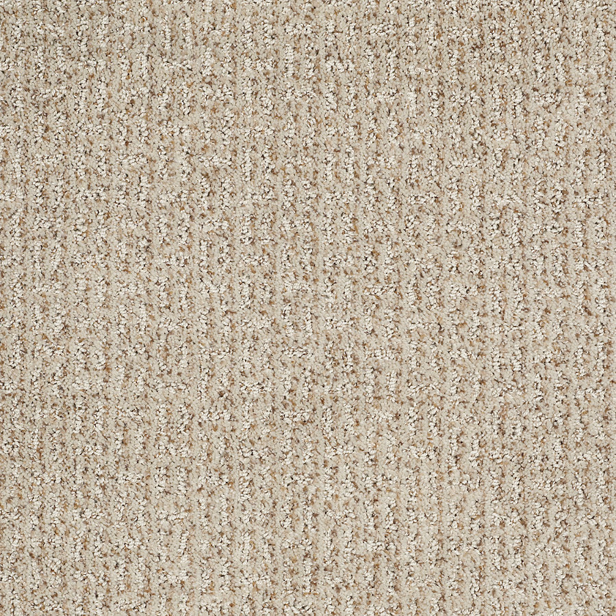 STAINMASTER Trusoft Evolution Cityscape Fashion Forward Indoor Carpet