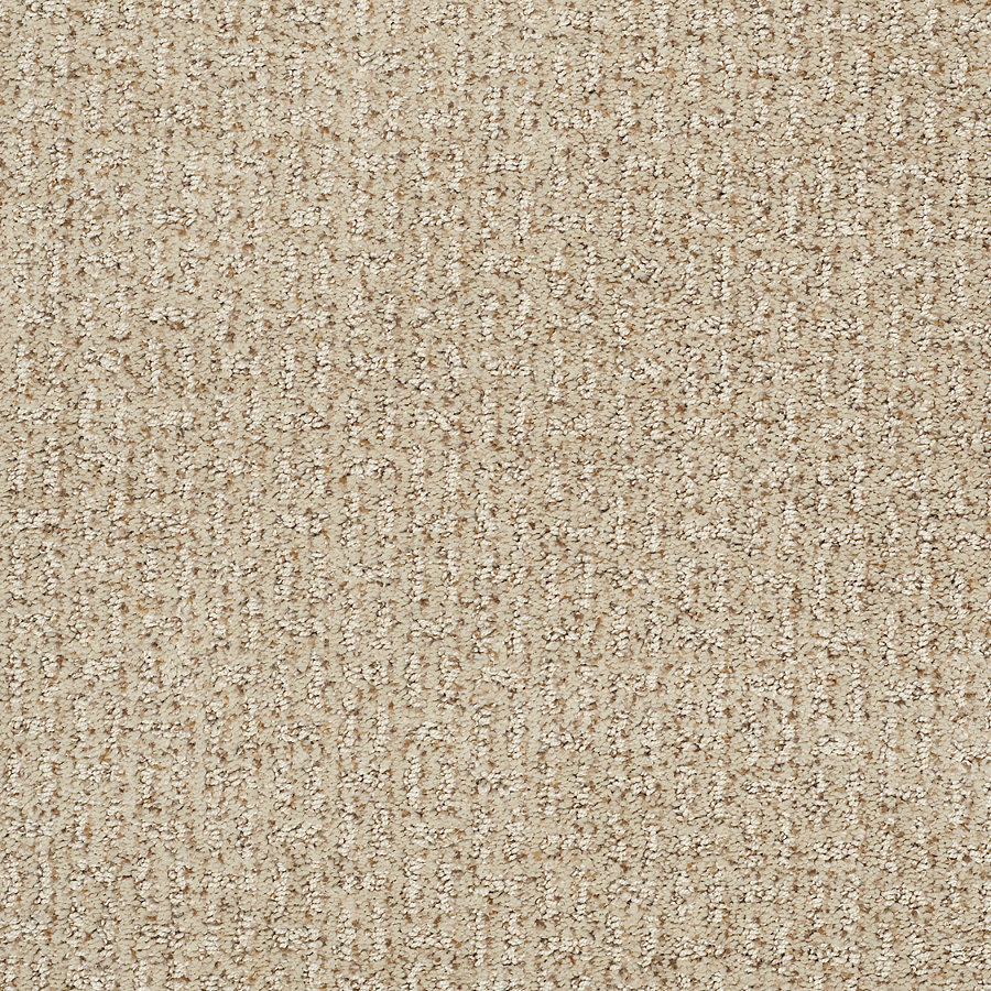 STAINMASTER Trusoft Evolution Beach Party Fashion Forward Indoor Carpet