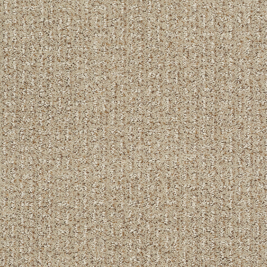 STAINMASTER Trusoft Evolution Downtown Fashion Forward Indoor Carpet