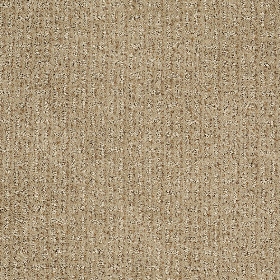 STAINMASTER Trusoft Evolution Brownstone Fashion Forward Indoor Carpet