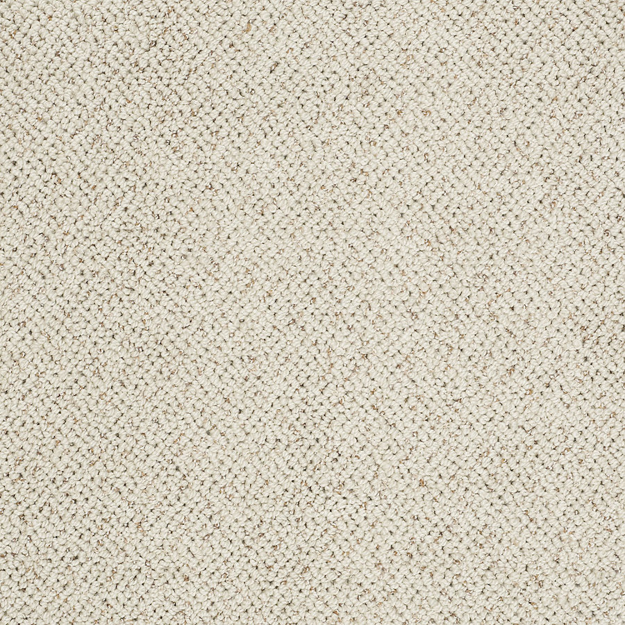 STAINMASTER Trusoft Curtain Call Smooth Satin Fashion Forward Indoor Carpet