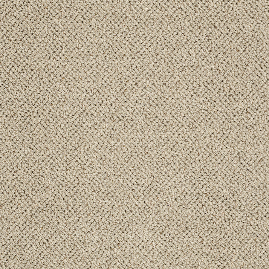 STAINMASTER Trusoft Curtain Call Brownstone Fashion Forward Indoor Carpet