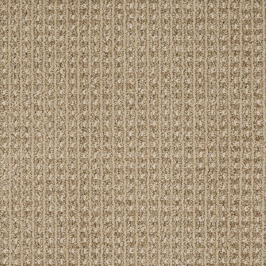 STAINMASTER Trusoft Rising Star Light Mocha Fashion Forward Indoor Carpet