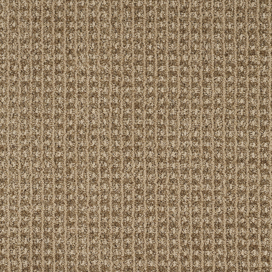 STAINMASTER Trusoft Rising Star Taupe Charm Fashion Forward Indoor Carpet