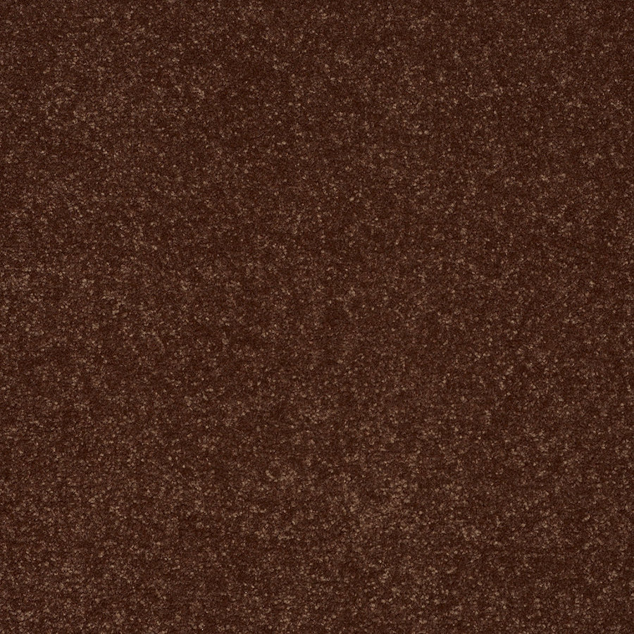 Shaw 7L52300600 Orange Textured Indoor Carpet