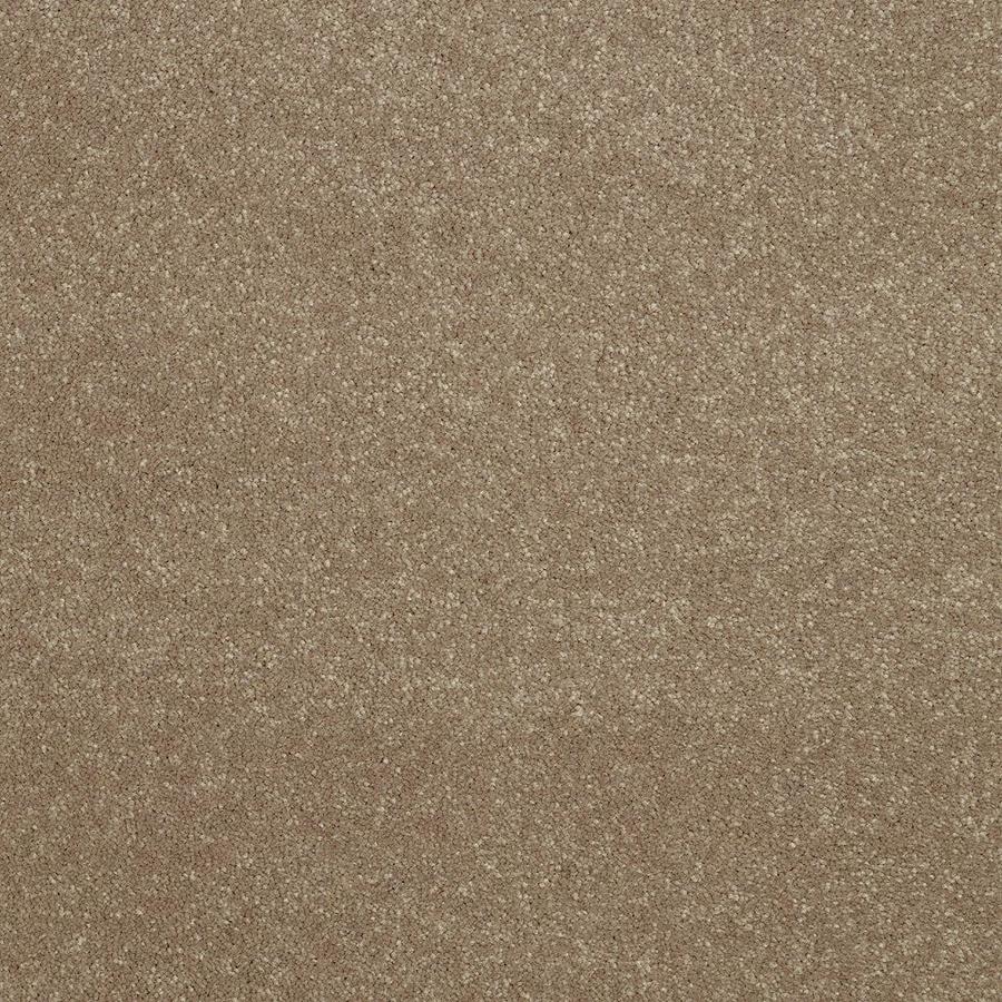 Shaw 7L52400102 Brown Textured Indoor Carpet