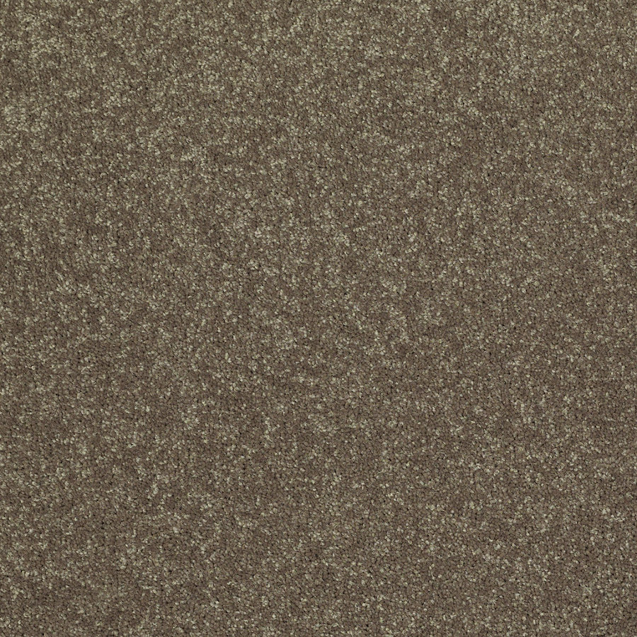 Shaw 7L52600300 Green Textured Indoor Carpet