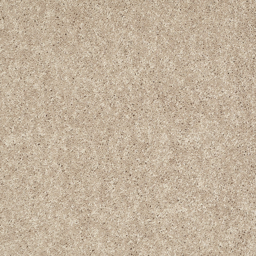 Shaw 7L52800107 Cream Textured Indoor Carpet