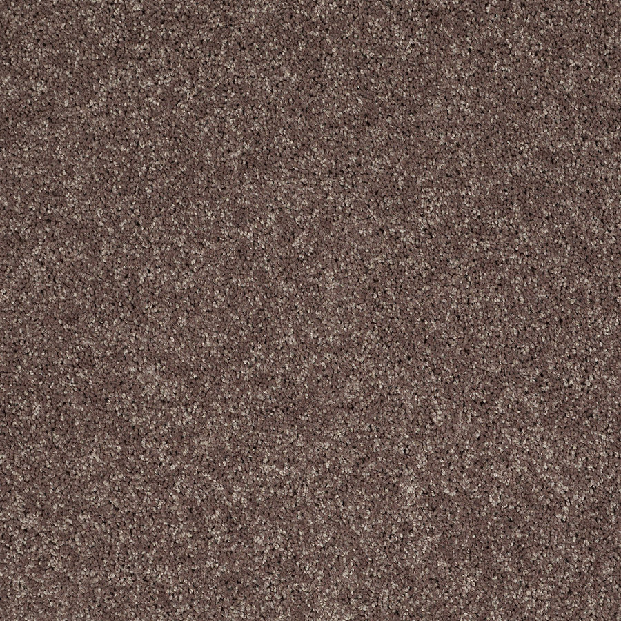 Shaw 7L52800703 Brown Textured Indoor Carpet