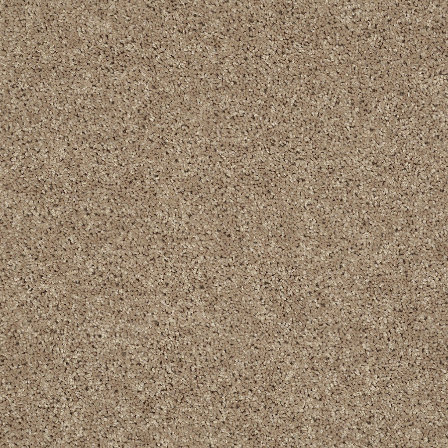 Shaw 7L53000700 Brown Textured Indoor Carpet