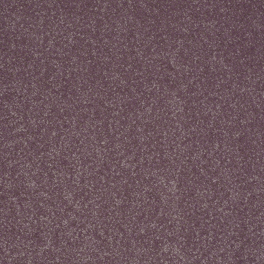 Shaw Intuition I Mulberry Textured Indoor Carpet