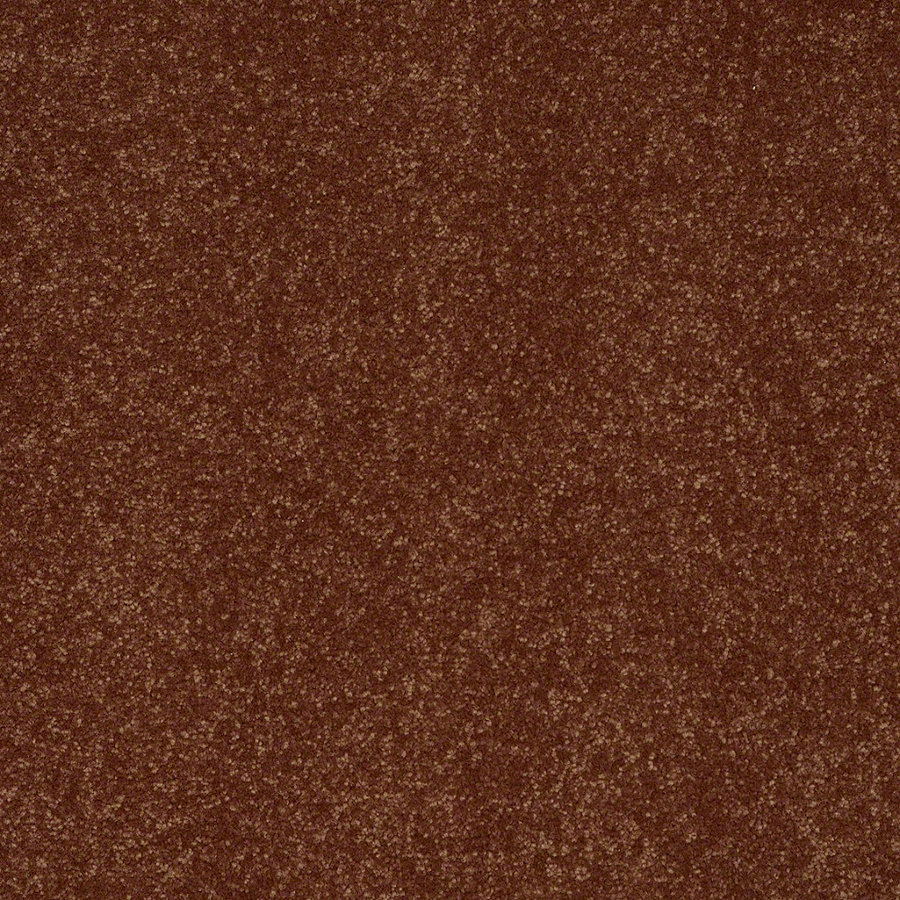 Shaw Intuition II Copper Kettle Textured Indoor Carpet