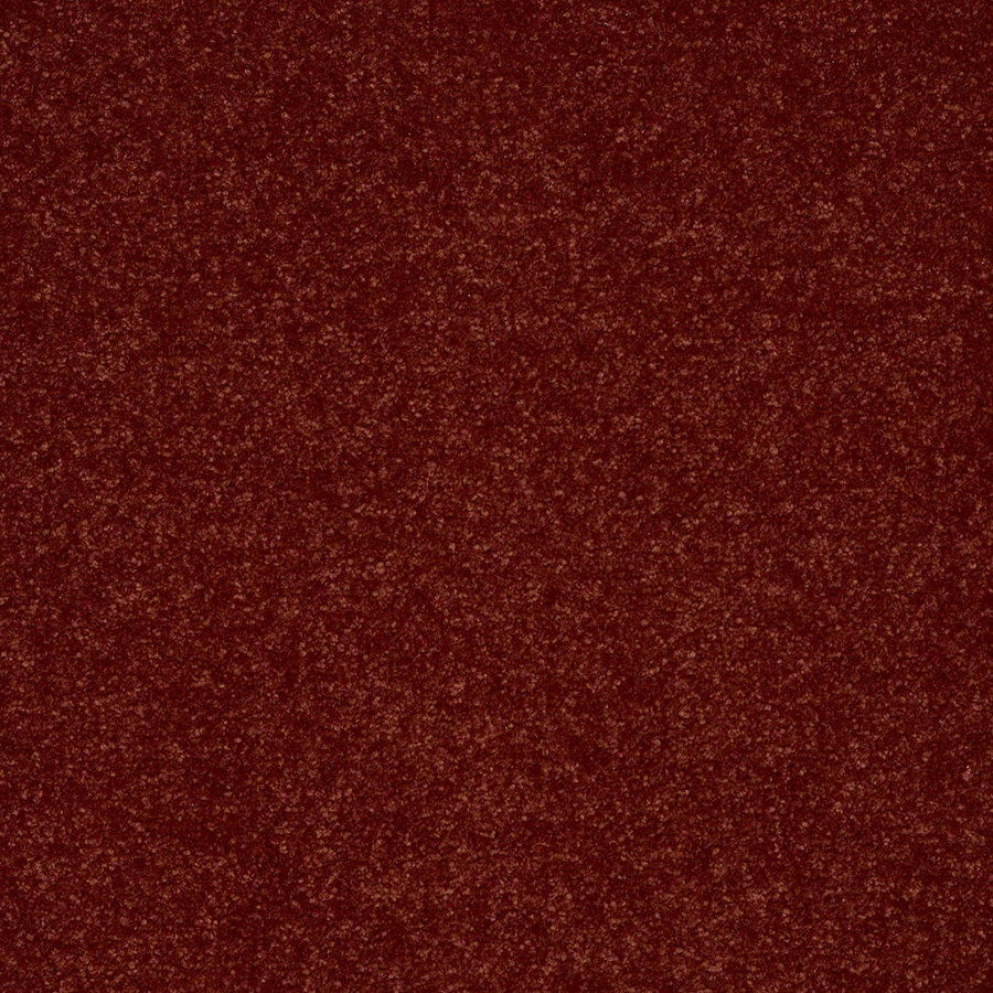 Shaw Intuition II Warm Sienna Textured Indoor Carpet