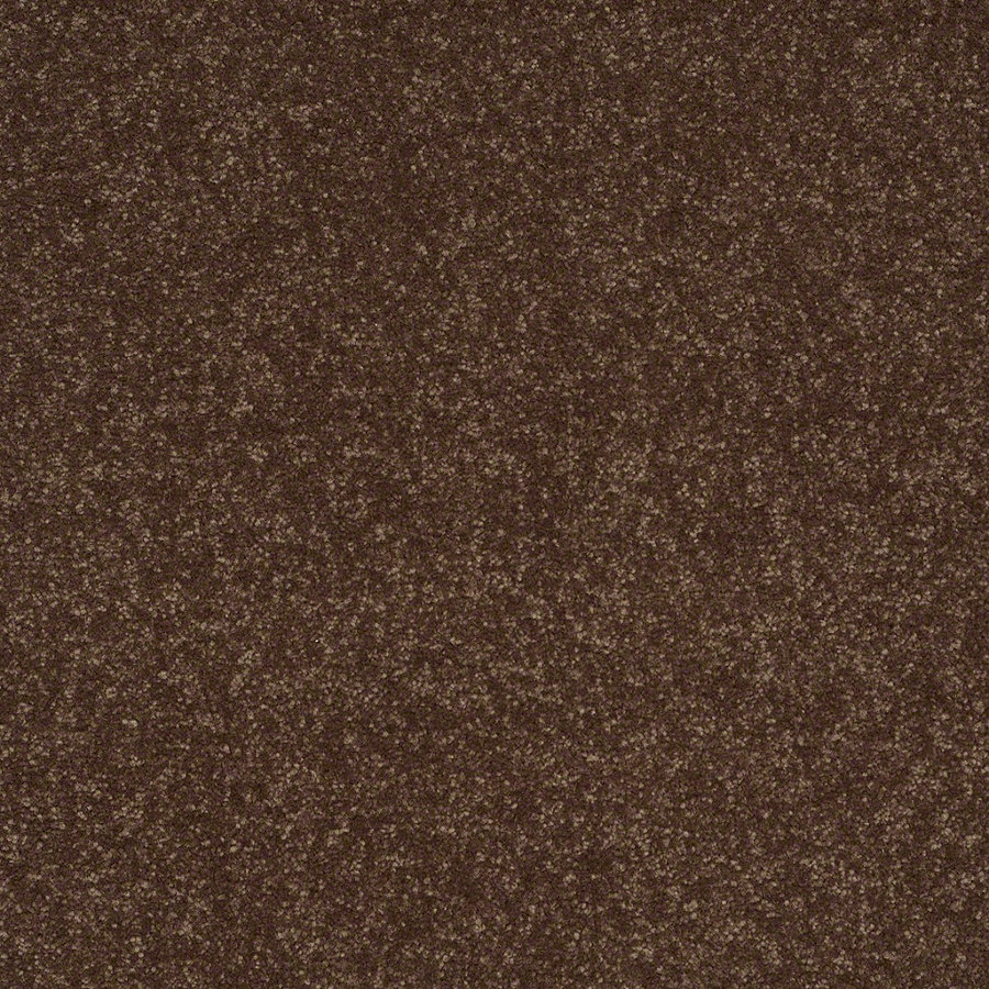 Shaw Intuition II Honey Comb Textured Indoor Carpet