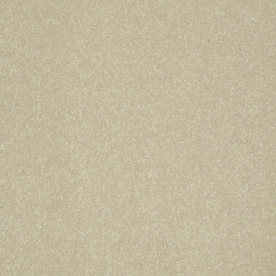 Shaw Intuition III Pearly Gates Textured Indoor Carpet