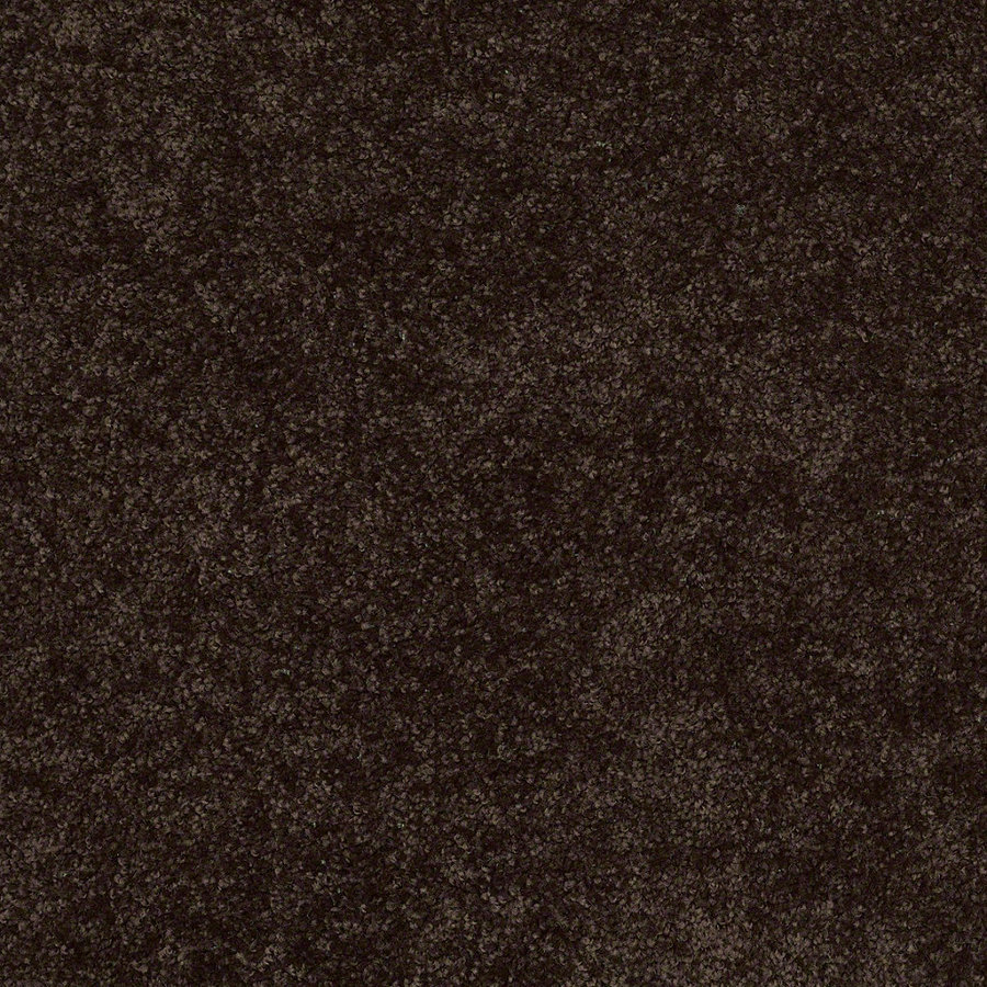 Shaw Batter Up I Coffee Bean Textured Indoor Carpet