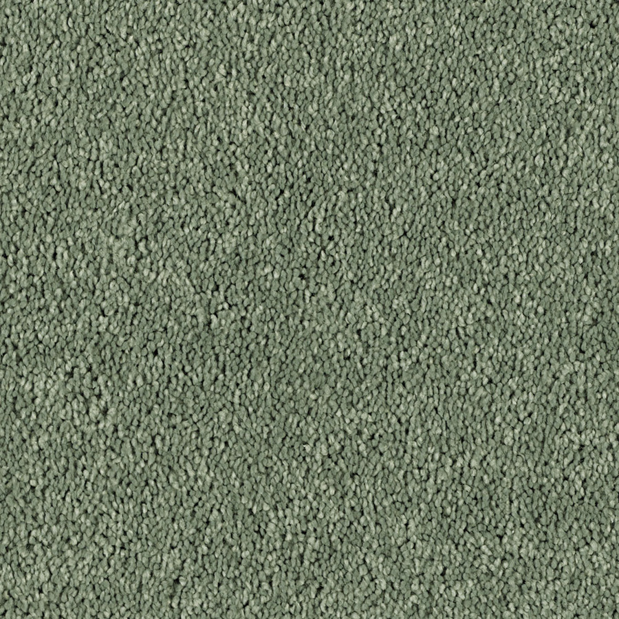 Shaw Soft & Cozy I Blue Grass Textured Indoor Carpet