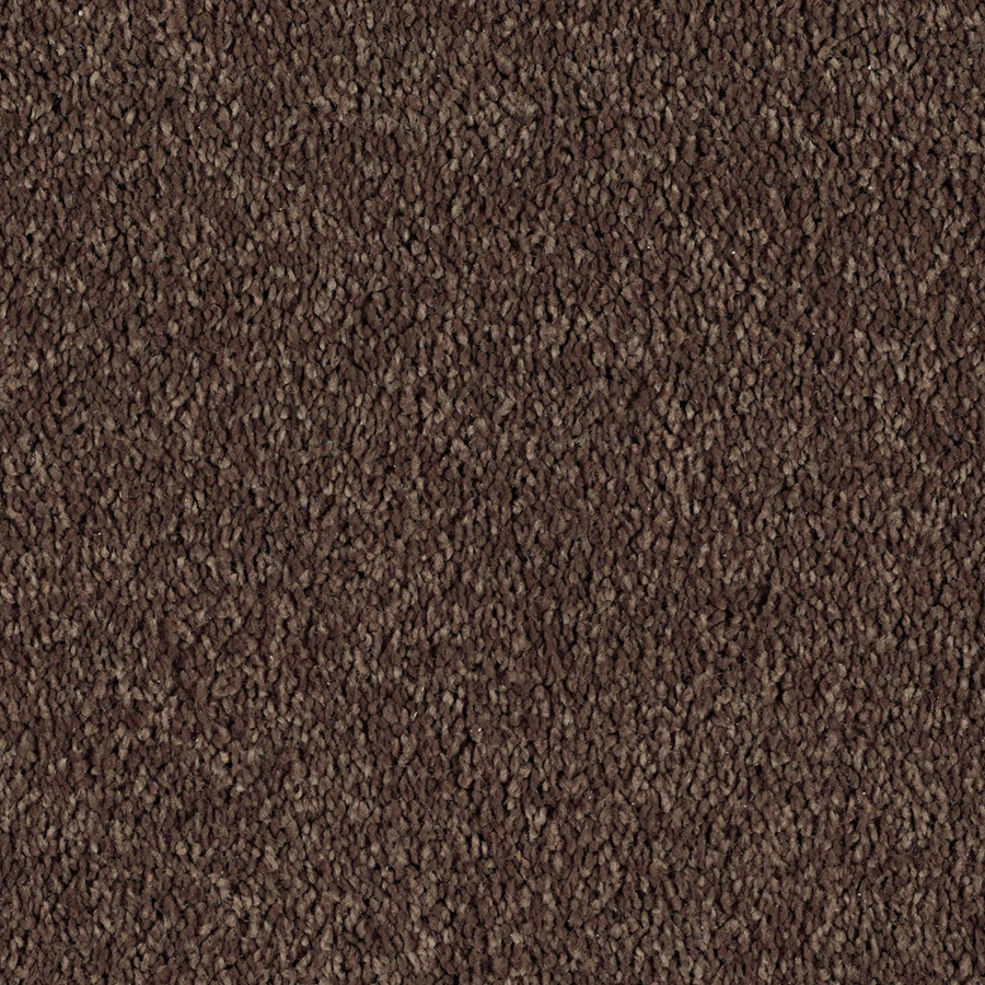 Shaw Soft & Cozy I Patina Textured Indoor Carpet