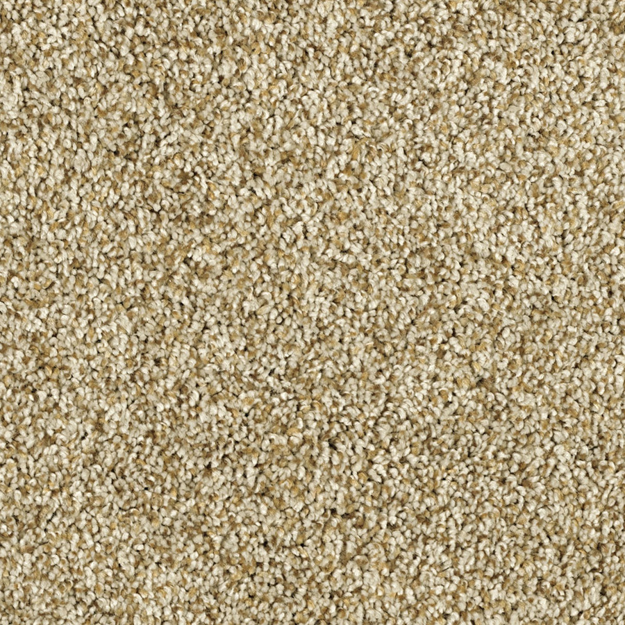 Shaw Soft & Cozy II Dunes Textured Indoor Carpet