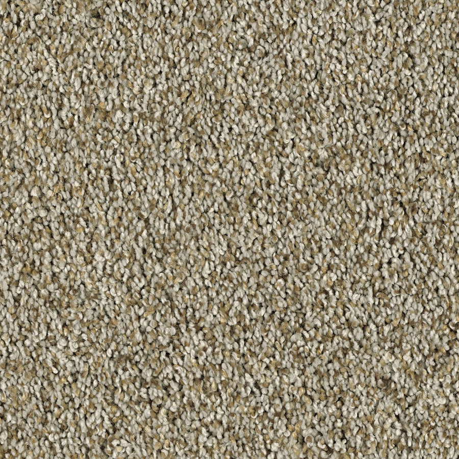 Shaw Soft & Cozy II Pebble Path Textured Indoor Carpet