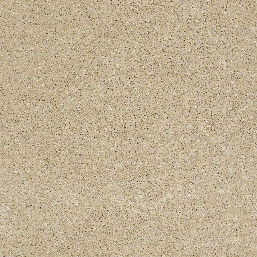 STAINMASTER Trusoft Luscious IV Parchment Textured Indoor Carpet