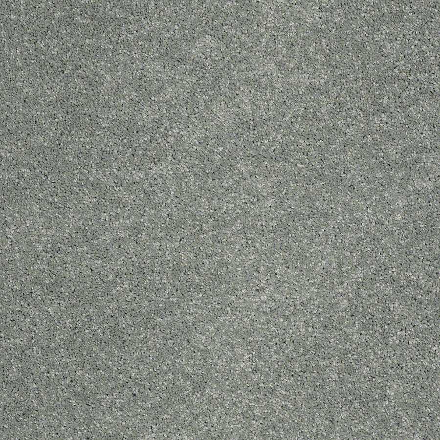 STAINMASTER Trusoft Luscious IV Spa Textured Indoor Carpet