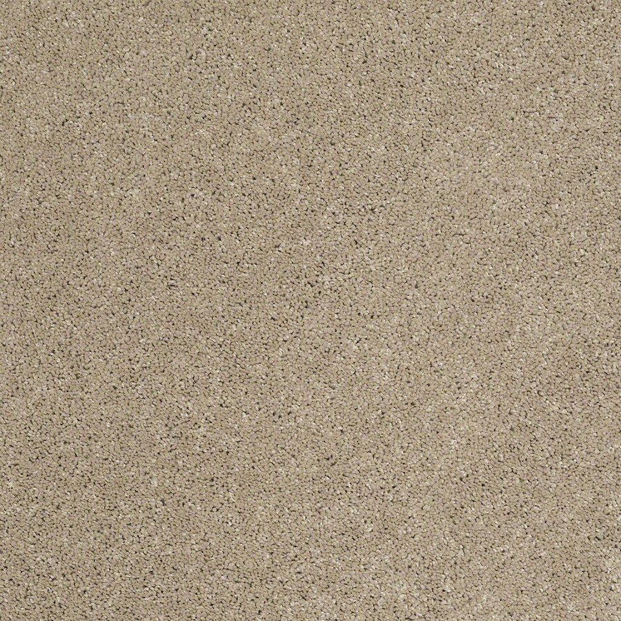 STAINMASTER Trusoft Luscious IV Driftwood Textured Indoor Carpet