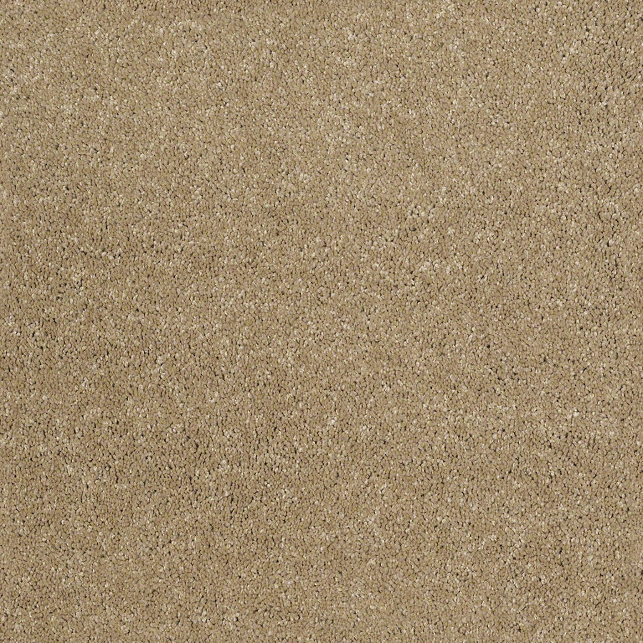 STAINMASTER Trusoft Luscious IV Flax Textured Indoor Carpet