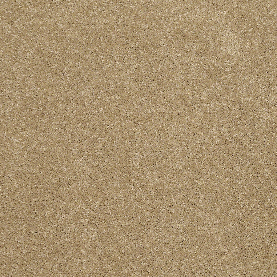 STAINMASTER Trusoft Luscious IV Cappuccino Textured Indoor Carpet