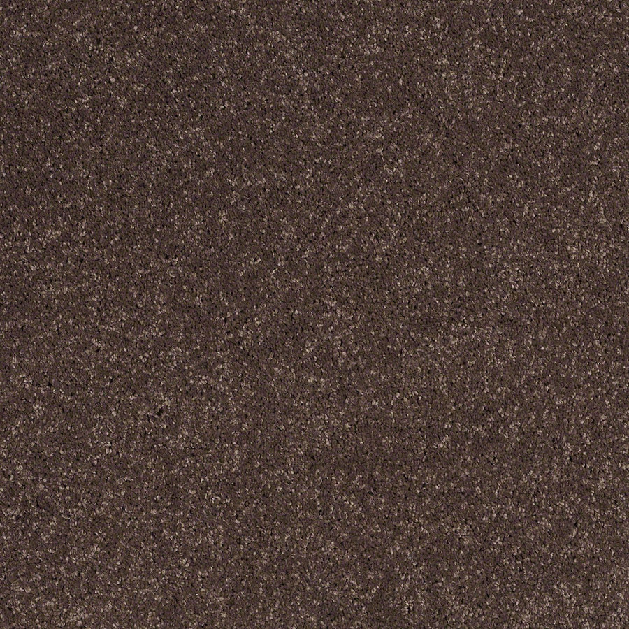 STAINMASTER Trusoft Luscious IV Mink Textured Indoor Carpet