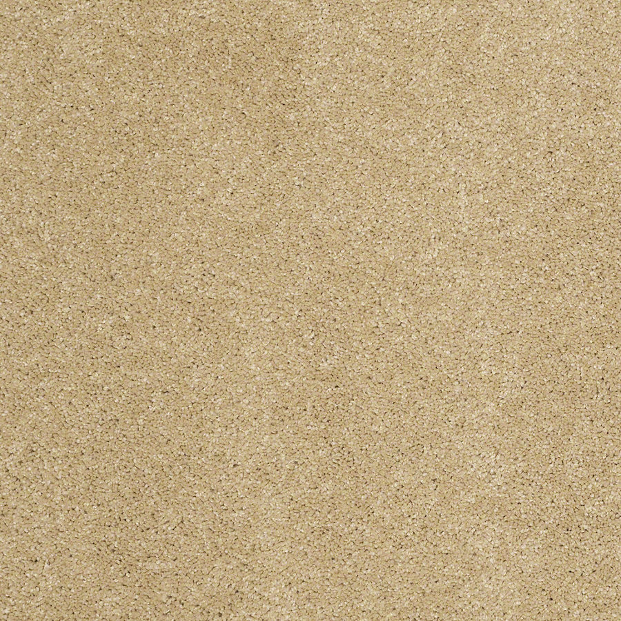 STAINMASTER Trusoft Luscious IV Honey Textured Indoor Carpet