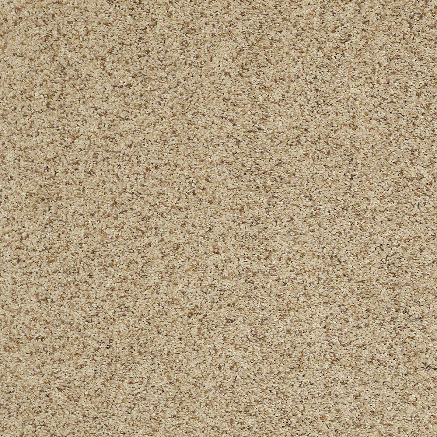 STAINMASTER TruSoft Luscious IV (T) Vellum Textured Indoor Carpet