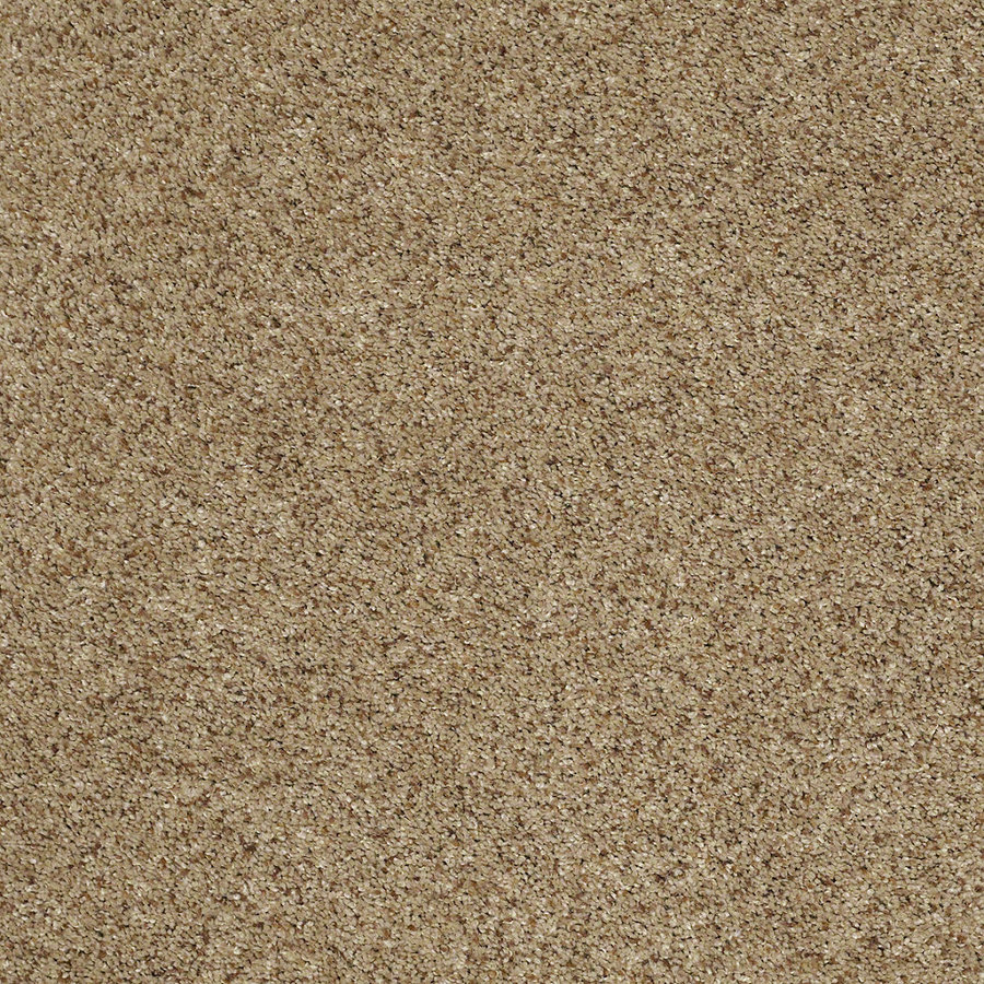 STAINMASTER Trusoft Luscious IV Riverbed Cut Pile Indoor Carpet