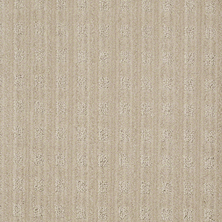 STAINMASTER Feature Buy Boutique Euro Linen Cut and Loop Indoor Carpet