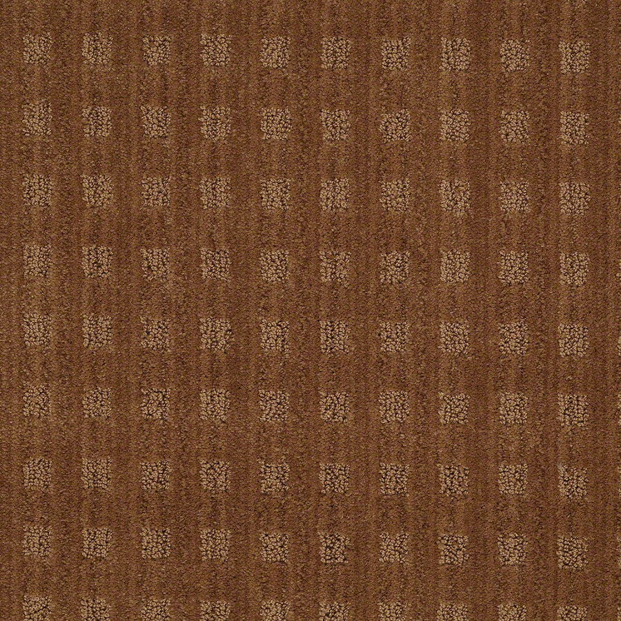 STAINMASTER Feature Buy Boutique Melted Copper Cut and Loop Indoor Carpet