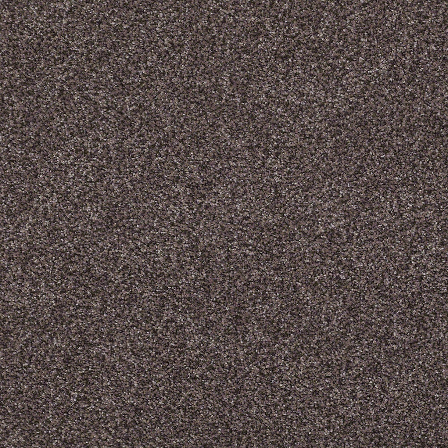 STAINMASTER Essentials Stone Mountain 1 Raw Amethyst Textured Indoor Carpet