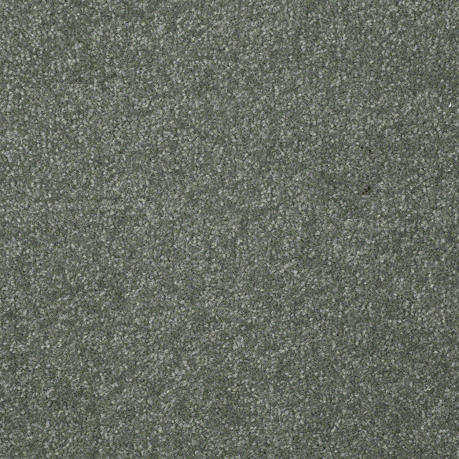 Shaw Ocean View Textured Indoor Carpet