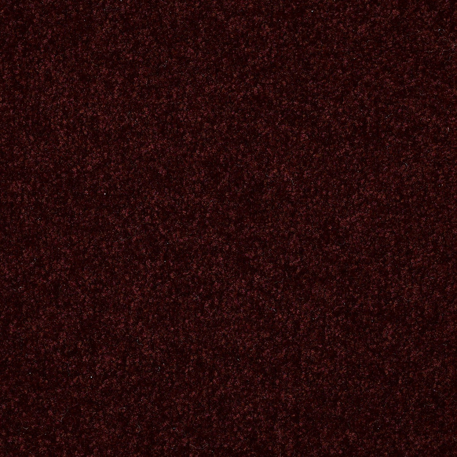 Shaw Bordeaux Textured Indoor Carpet