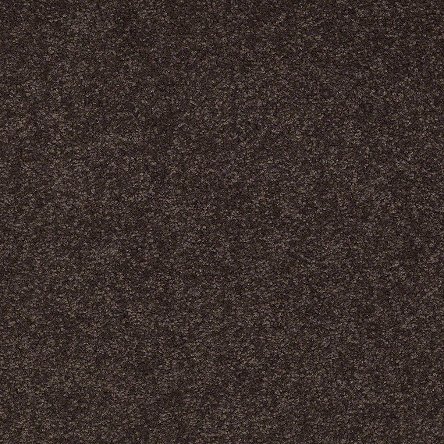 Shaw Dark Chocolate Textured Indoor Carpet