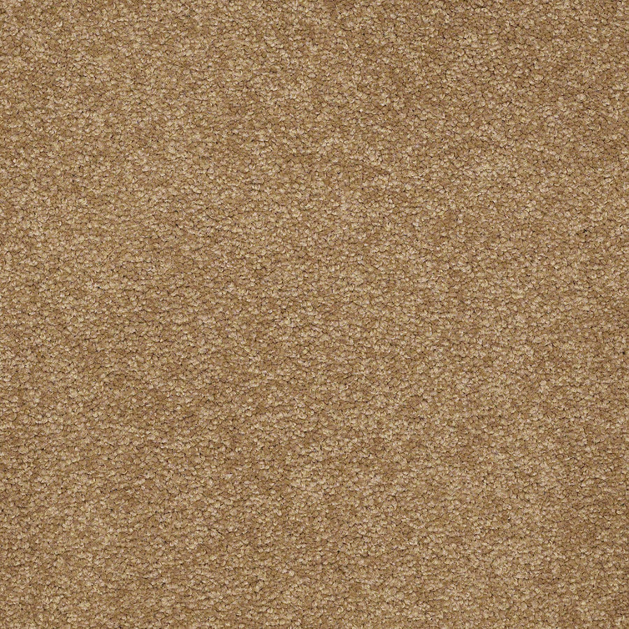 Shaw Toast Textured Indoor Carpet