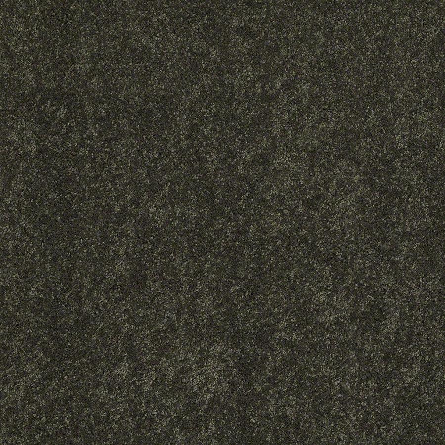 STAINMASTER Active Family Supreme Delight Parsley Textured Indoor Carpet
