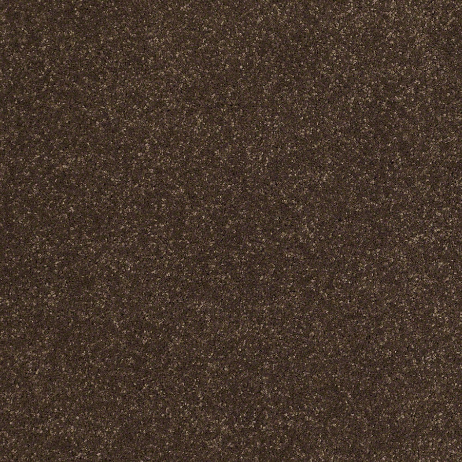 STAINMASTER TruSoft Classic I (S) Dark Chocolate Textured Indoor Carpet