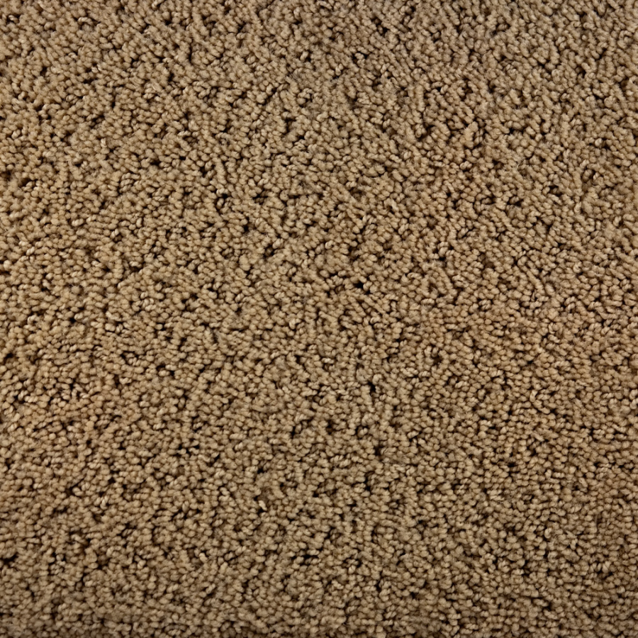 STAINMASTER Active Family Enlightenment Tan/Brown Fashion Forward Indoor Carpet