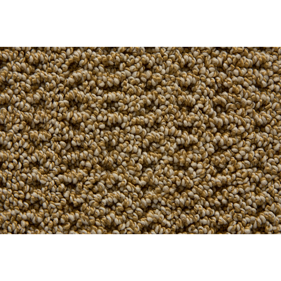 STAINMASTER Trusoft Stainmaster Gallery Galley Multi Level Loop Pile Indoor Carpet