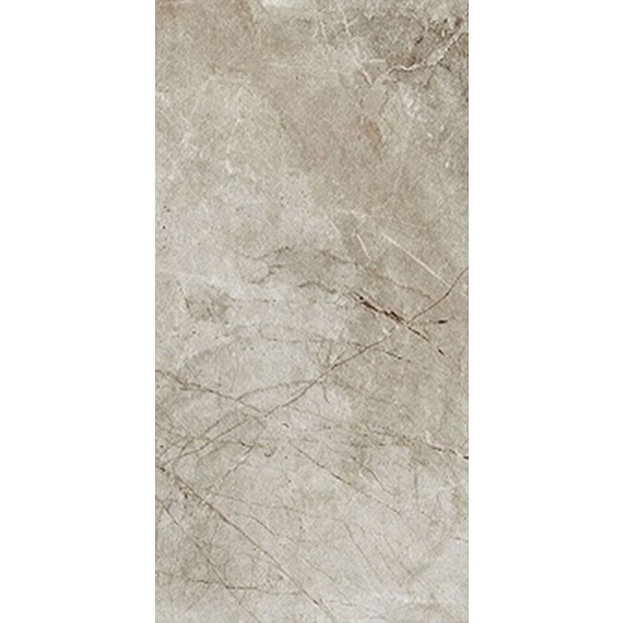 FLOORS 2000 6 Pack Alor Taupe Brown Glazed Porcelain Indoor/Outdoor Floor Tiles (Common 12 in x 24 in; Actual 11.81 in x 23.62 in)