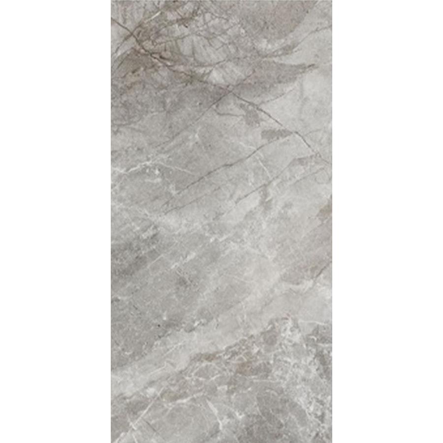 FLOORS 2000 6 Pack Alor Titano Light Grey Glazed Porcelain Indoor/Outdoor Floor Tiles (Common 12 in x 24 in; Actual 11.81 in x 23.62 in)